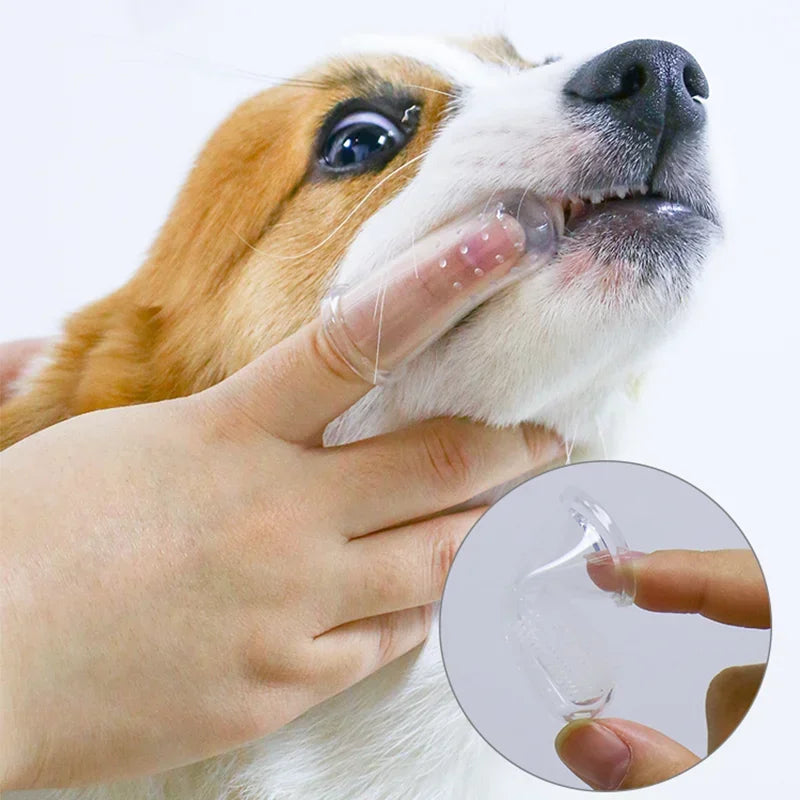 Brosse à dents super douce pour animaux de compagnie, brosse pour chien en peluche, outil de soins dentaires contre la mauvaise haleine et le tartre, nettoyage des dents pour chiens et chats, gel de silice, fournitures pour animaux de compagnie
