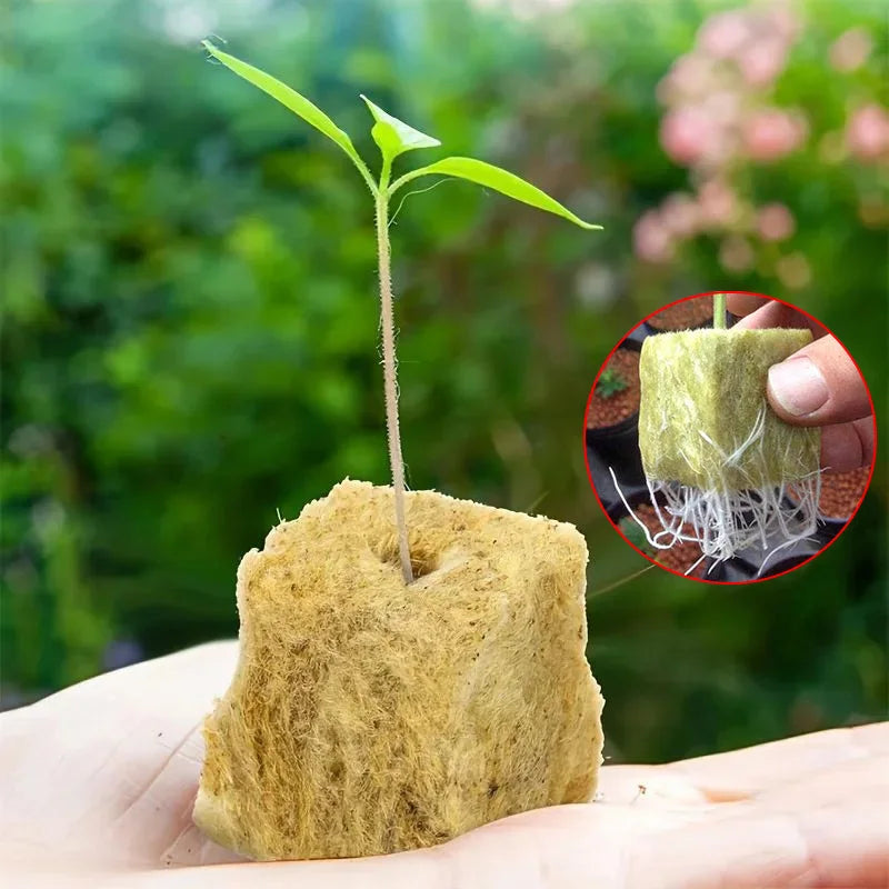 50/100x Stonewool Hydroponic Grow Media Cubes Garden Seedling Block Water Cultivation Seed Sowing Germination Culture Substrate
