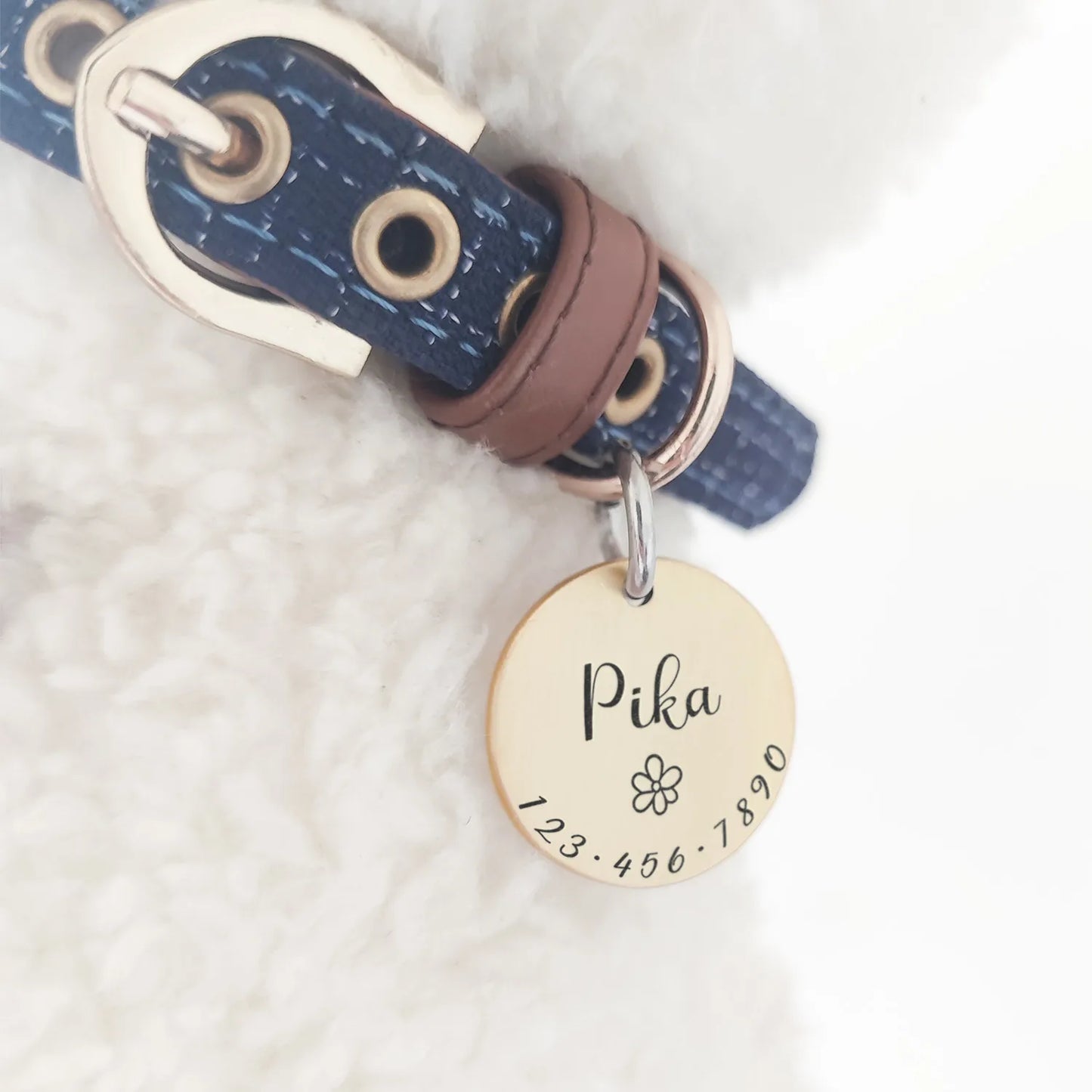 Médaillons d'identification personnalisée pour chien et chat, accessoire pour collier, MW001, chaîne gravée personnalisée, breloque, fournitures pour médaillon de chien, produits avec nom