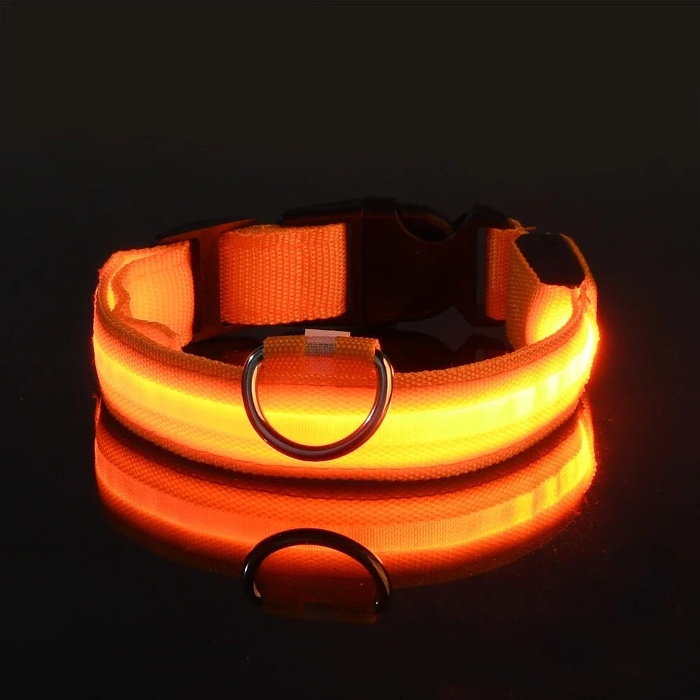 Collier pour chien en nylon avec LED clignotante et phosphorescente pour la sécurité nocturne