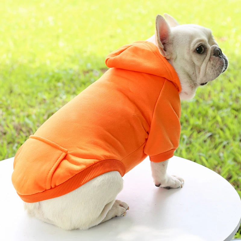 Vêtements tendance pour chiens, automne et hiver, vêtements pour petits animaux, épais, chauds, couleur unie, pull à capuche de deux pieds, produits décontractés pour animaux de compagnie