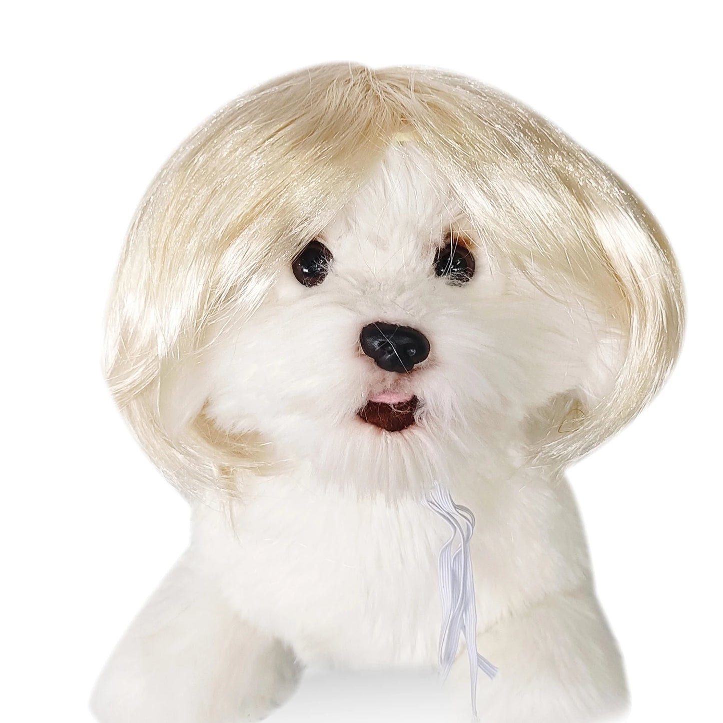 Perruque de cosplay amusante pour animal de compagnie, perruque courte pour chien, décorations pour animaux de compagnie, chapeau en poils de chat, fournitures d'Halloween et de Noël