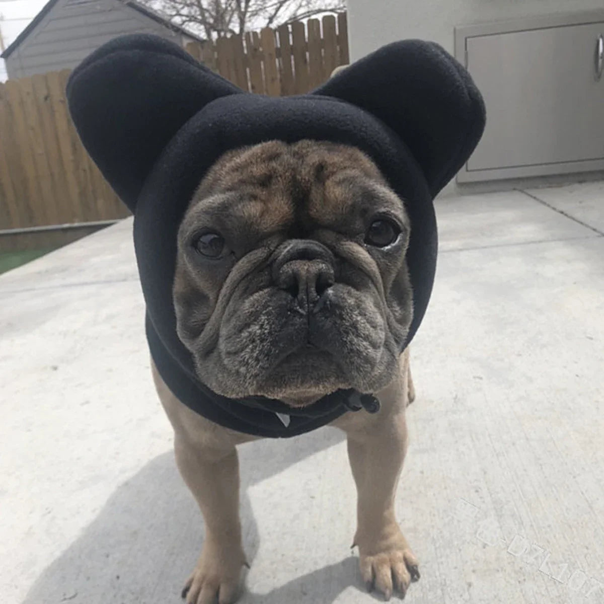 Chapeau de chauve-souris en polaire pour chien