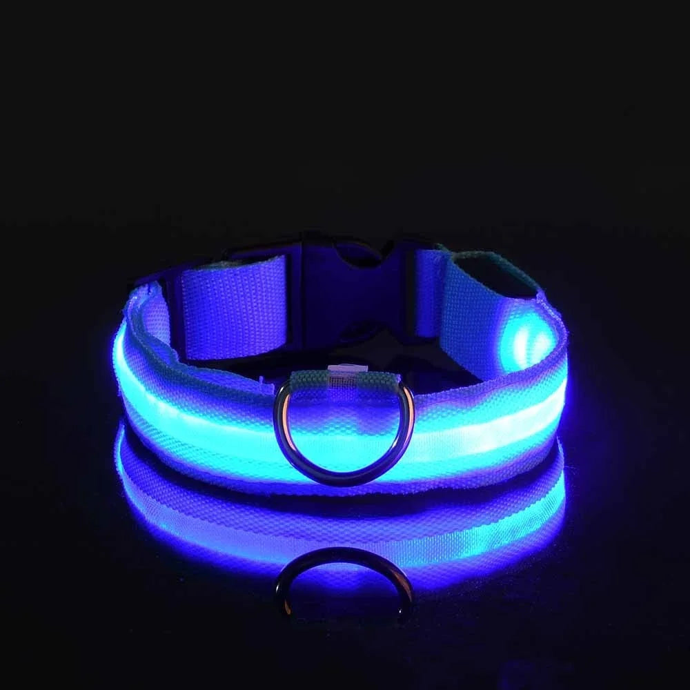 Collier pour chien en nylon avec LED clignotante et phosphorescente pour la sécurité nocturne