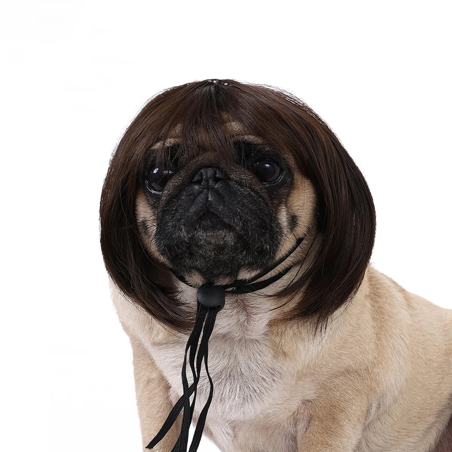 Perruque de cosplay amusante pour animal de compagnie, perruque courte pour chien, décorations pour animaux de compagnie, chapeau en poils de chat, fournitures d'Halloween et de Noël
