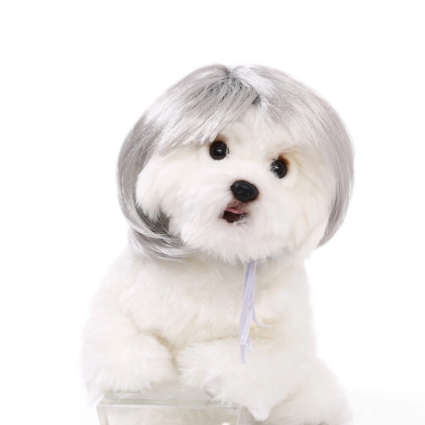 Perruque de cosplay amusante pour animal de compagnie, perruque courte pour chien, décorations pour animaux de compagnie, chapeau en poils de chat, fournitures d'Halloween et de Noël