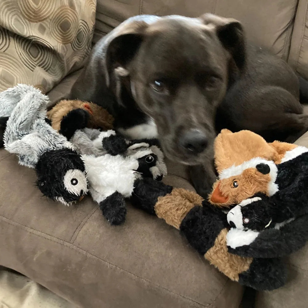 Jouet amusant pour chien, sans rembourrage, avec couineurs, en peluche durable, sans rembourrage, à mâcher
