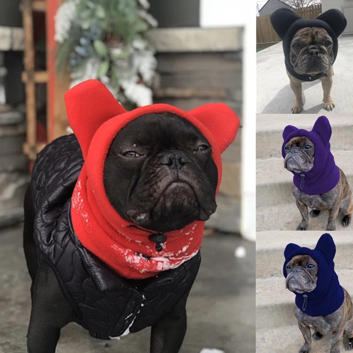 Chapeau de chauve-souris en polaire pour chien