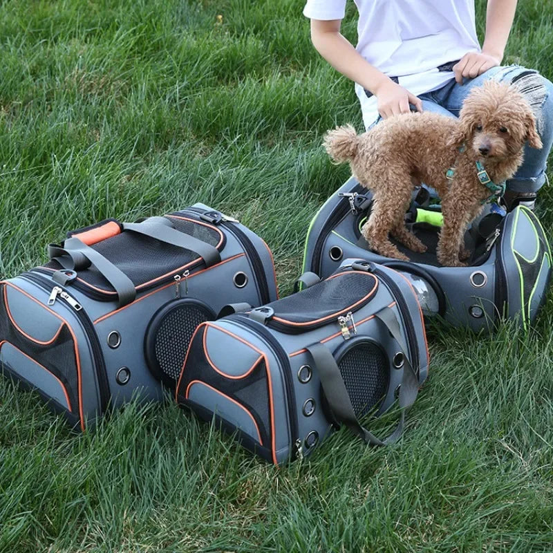 Sac de transport pour chien, sac à bandoulière portable pour animaux de compagnie, sac à dos respirant de grande capacité pour chats et petits chiens
