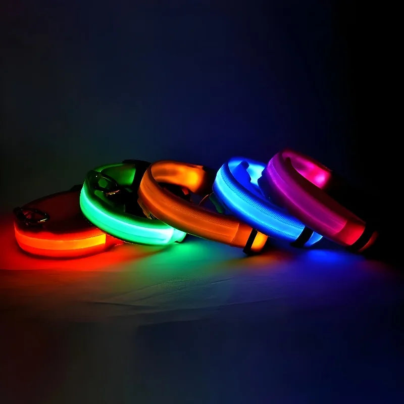 Collier pour chien en nylon avec LED clignotante et phosphorescente pour la sécurité nocturne