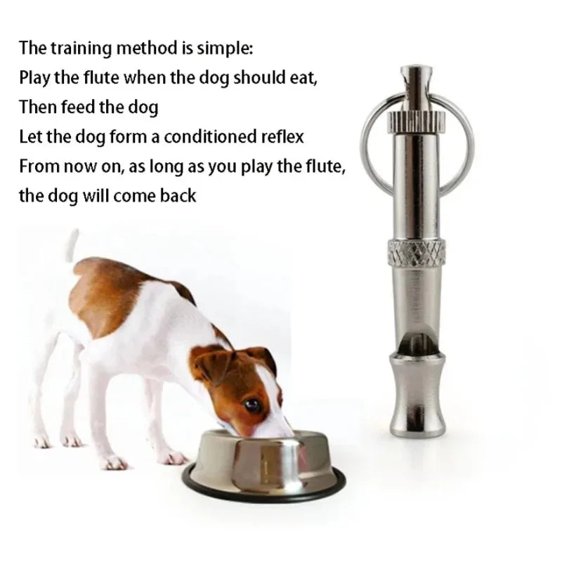 Sifflet de dressage pour chien, dispositif anti-aboiements, flûte de dressage ultrasonique, sifflet silencieux, outil de contrôle