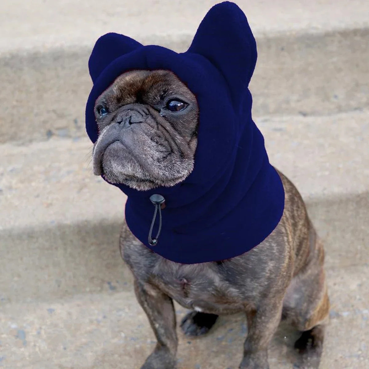 Chapeau de chauve-souris en polaire pour chien