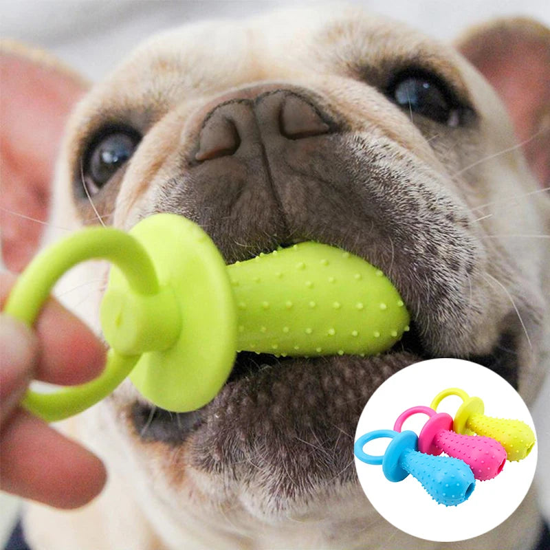 Jouet à mâcher en caoutchouc souple pour animaux de compagnie, résistant aux morsures, en forme d'os, pour broyer les dents, pour petits chiens, fournitures de dressage pour animaux de compagnie