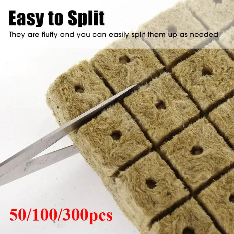 50/100x Stonewool Hydroponic Grow Media Cubes Garden Seedling Block Water Cultivation Seed Sowing Germination Culture Substrate