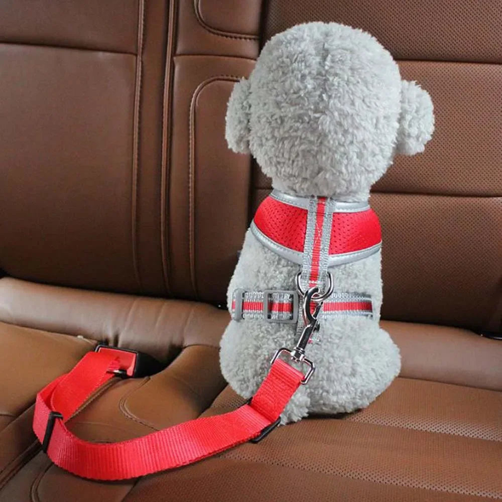 1 boucle de sécurité pour voiture, ceinture de sécurité pour animaux de compagnie, adaptée aux chiens de petite et moyenne taille, accessoire de sécurité pour animaux de compagnie