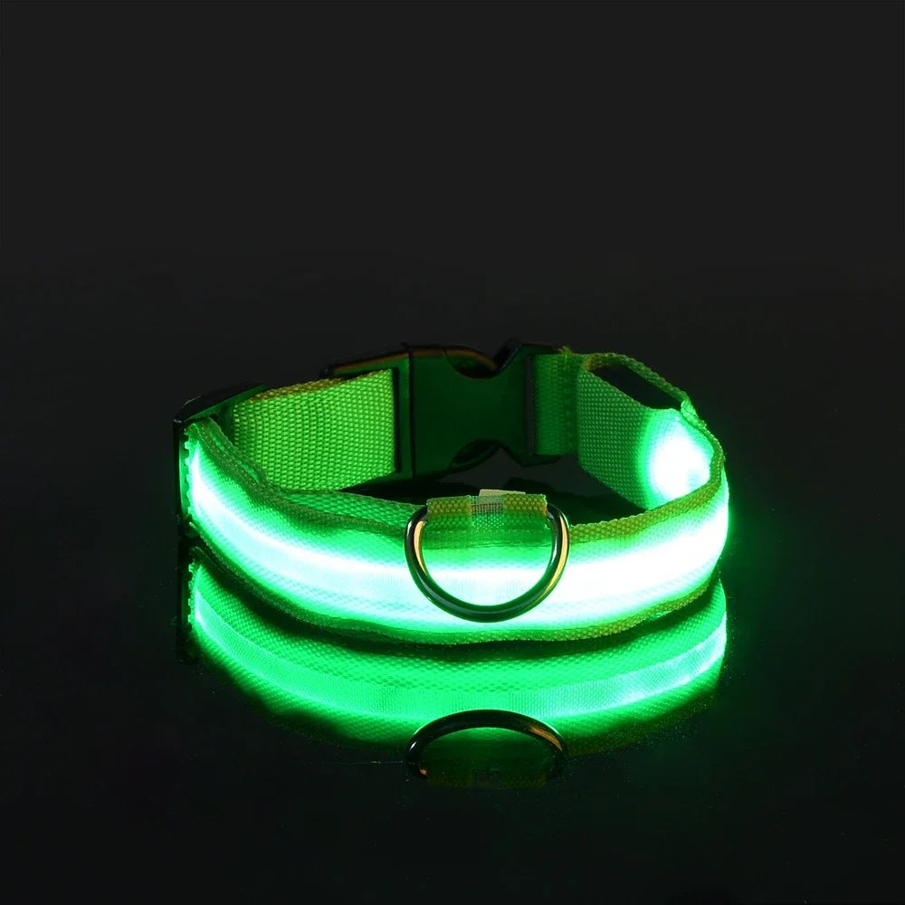 Collier pour chien en nylon avec LED clignotante et phosphorescente pour la sécurité nocturne