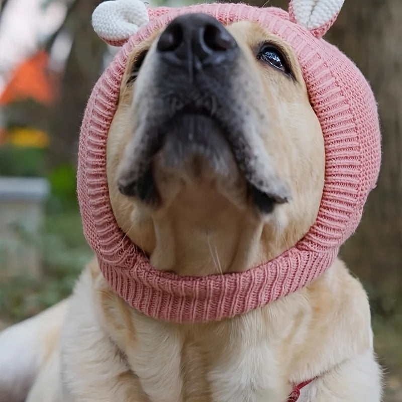 Chapeau pour chien Labrador Golden Retriever, couvre-chef amusant et chaud, oreilles de chiot en hiver