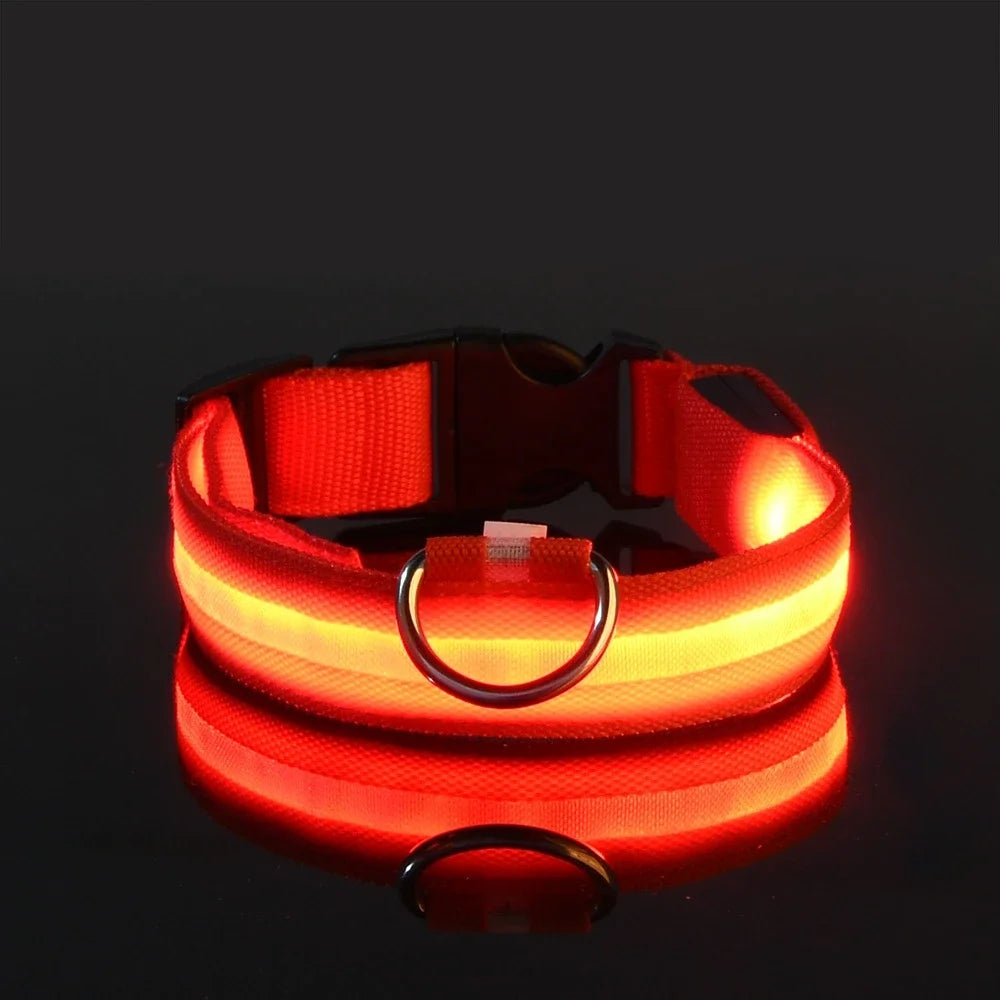 Collier pour chien en nylon avec LED clignotante et phosphorescente pour la sécurité nocturne