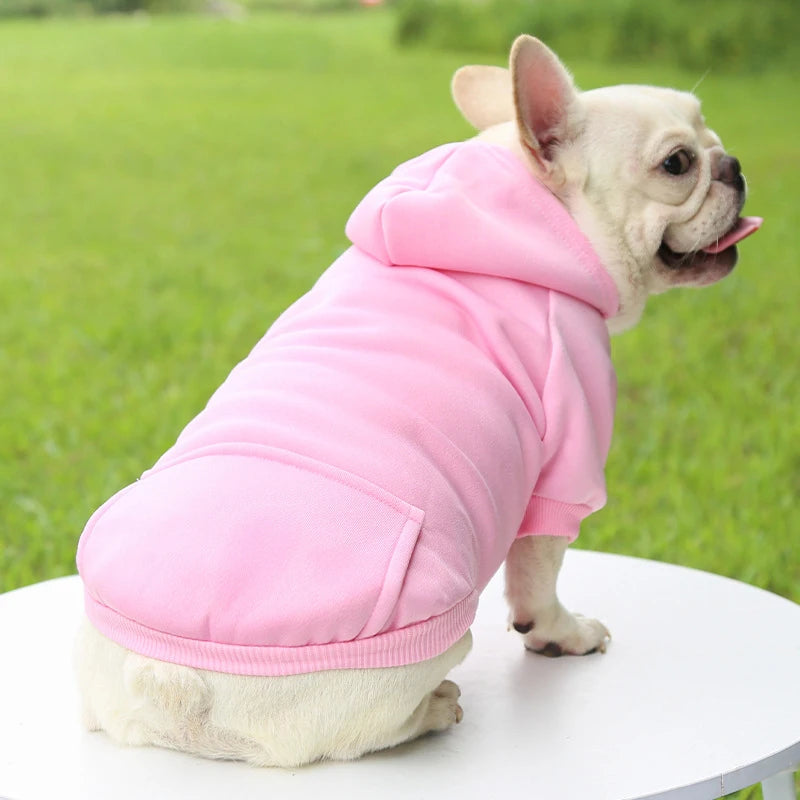Vêtements tendance pour chiens, automne et hiver, vêtements pour petits animaux, épais, chauds, couleur unie, pull à capuche de deux pieds, produits décontractés pour animaux de compagnie