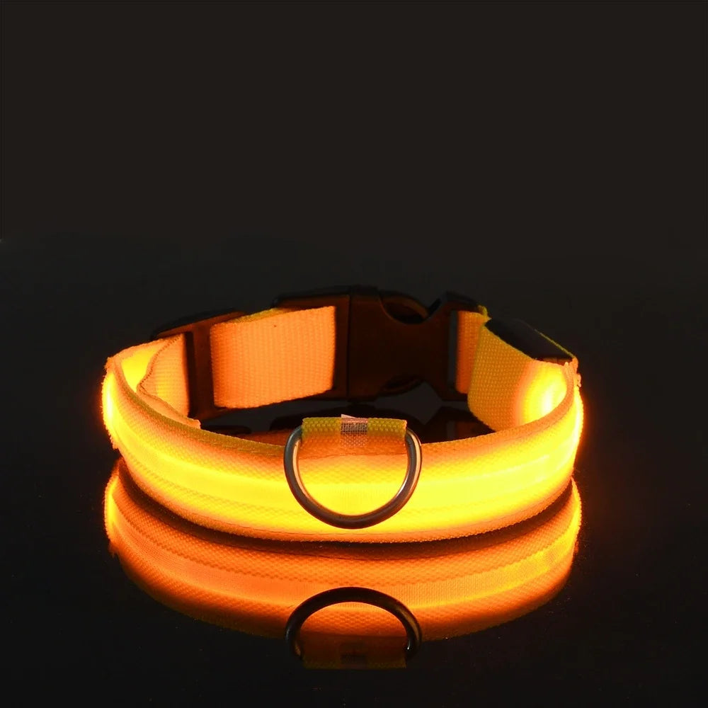 Collier pour chien en nylon avec LED clignotante et phosphorescente pour la sécurité nocturne