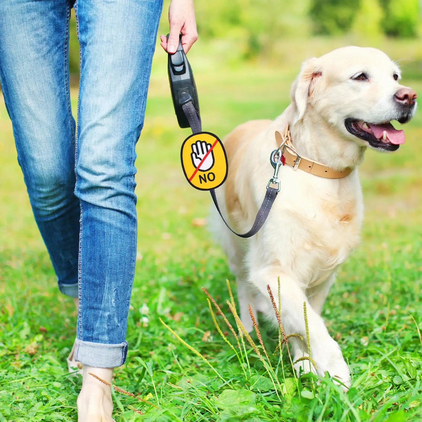 Autocollant amovible pour laisse d'animal de compagnie