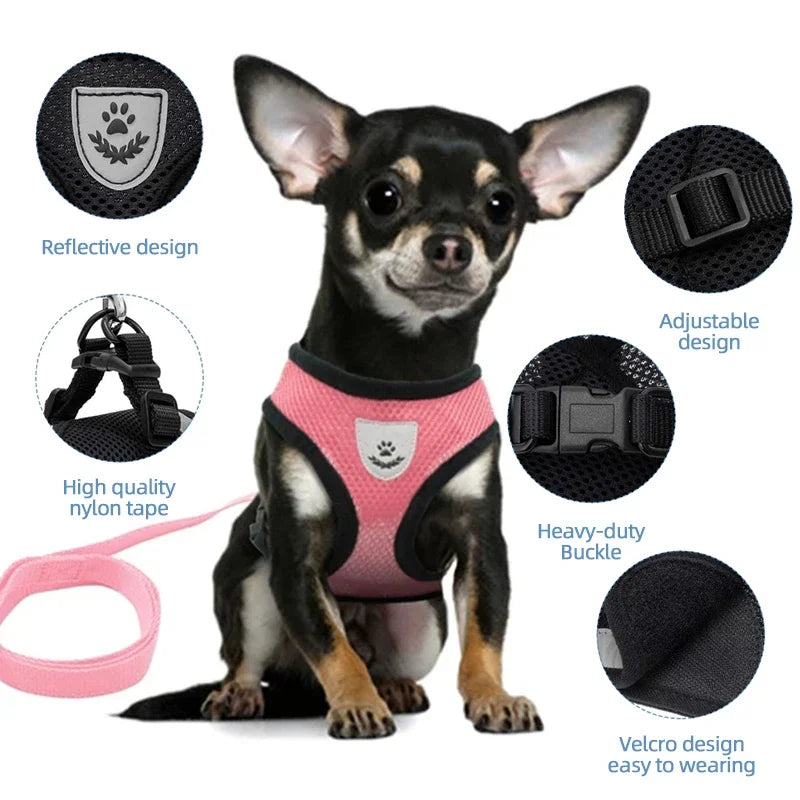 Summer breathable dog walking, chest and back pet, chest and back small dog set, cat outdoor leash, pet supplies