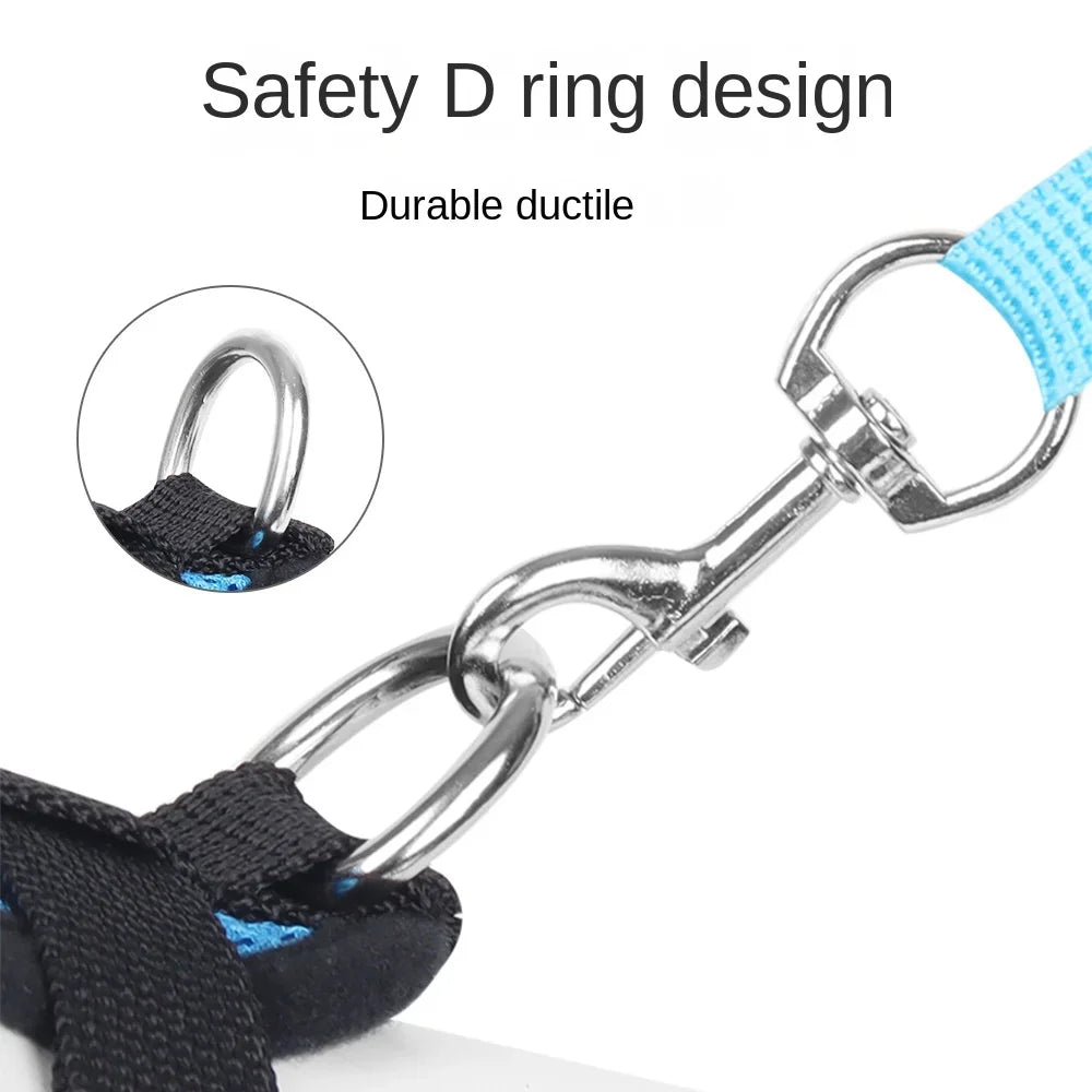 Summer breathable dog walking, chest and back pet, chest and back small dog set, cat outdoor leash, pet supplies