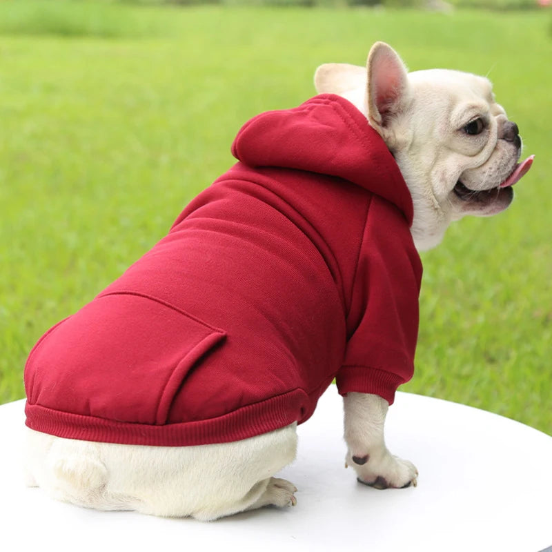 Vêtements tendance pour chiens, automne et hiver, vêtements pour petits animaux, épais, chauds, couleur unie, pull à capuche de deux pieds, produits décontractés pour animaux de compagnie