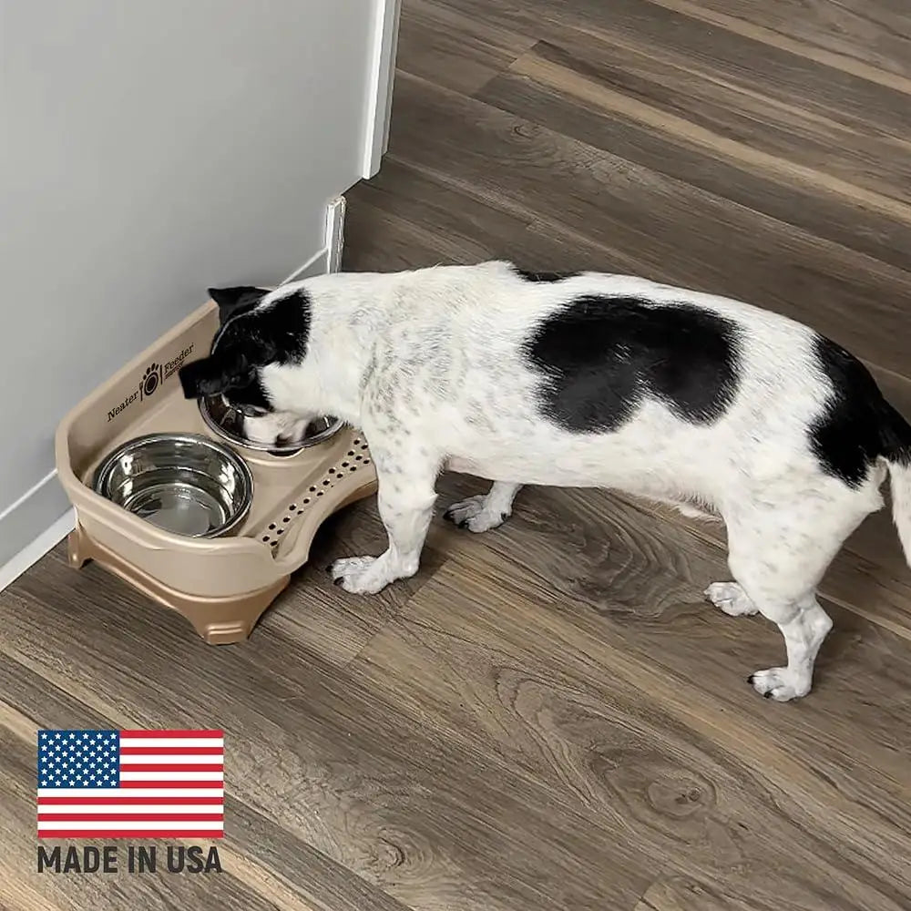 Gamelles surélevées anti-dégâts pour chiens, anti-déversement, anti-basculement, en acier inoxydable, mangeoire pour petits chiens, lavable au lave-vaisselle, pieds en caoutchouc