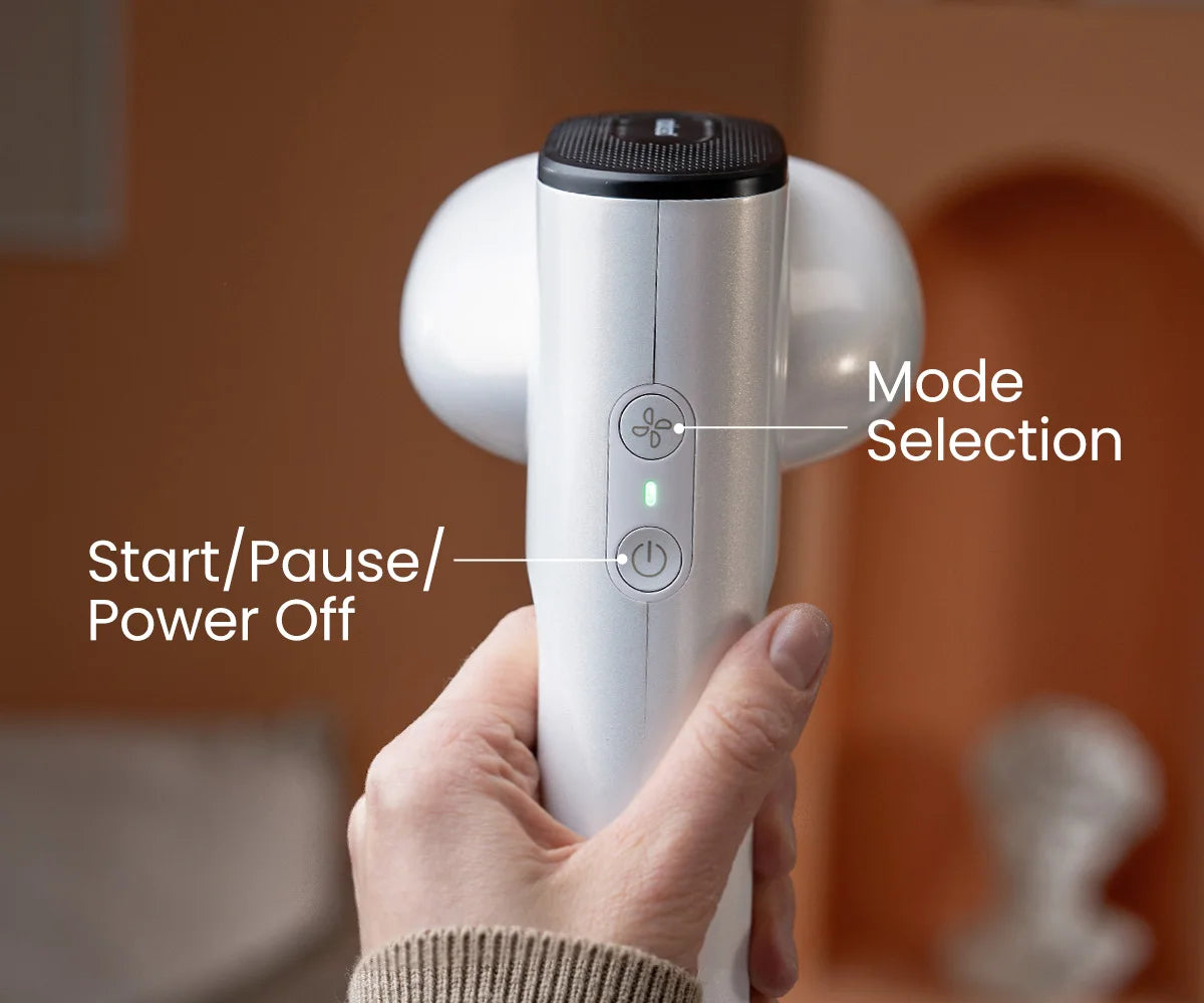 Fer à vapeur portable Neakasa Magic 1 pour vêtements
