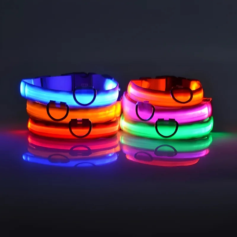 Collier pour chien en nylon avec LED clignotante et phosphorescente pour la sécurité nocturne