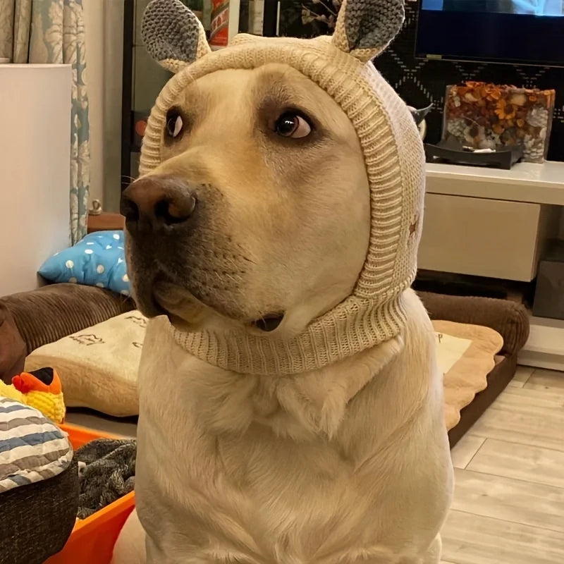Chapeau pour chien Labrador Golden Retriever, couvre-chef amusant et chaud, oreilles de chiot en hiver