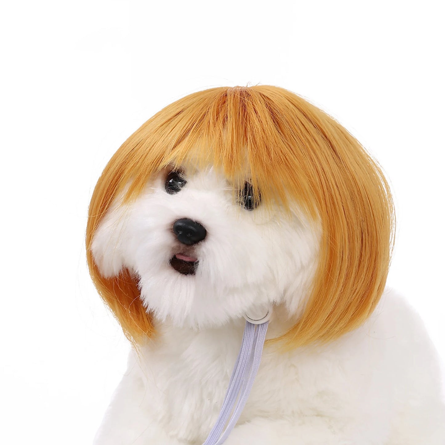 Perruque de cosplay amusante pour animal de compagnie, perruque courte pour chien, décorations pour animaux de compagnie, chapeau en poils de chat, fournitures d'Halloween et de Noël