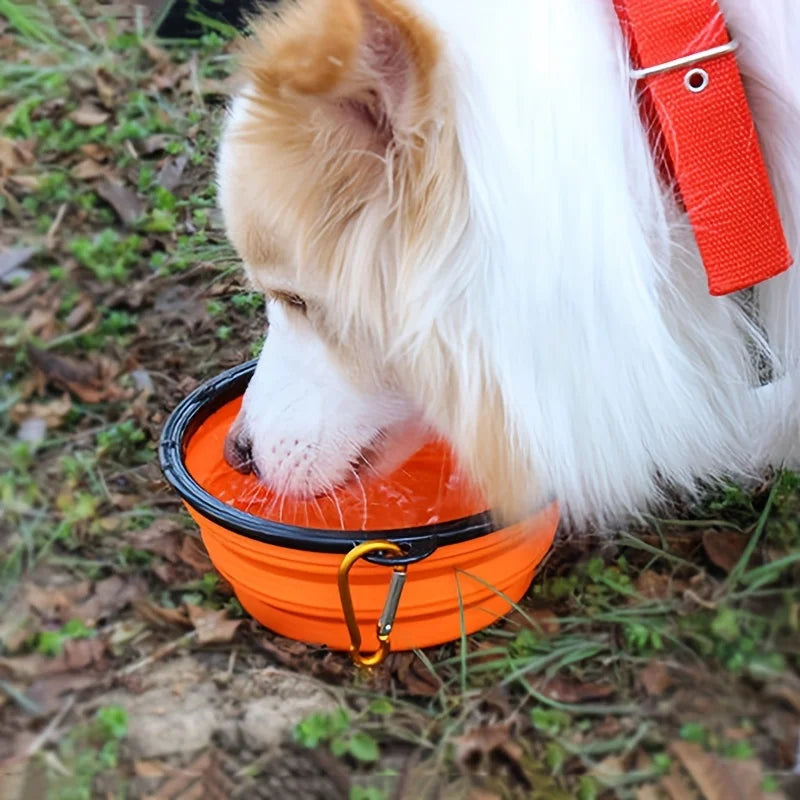 350ML Folding Black Frame Bowl with Keychain Pet Bowl Portable Travel Bowl Convenient Cat Bowl Not Easy to Deform Folding Bowl