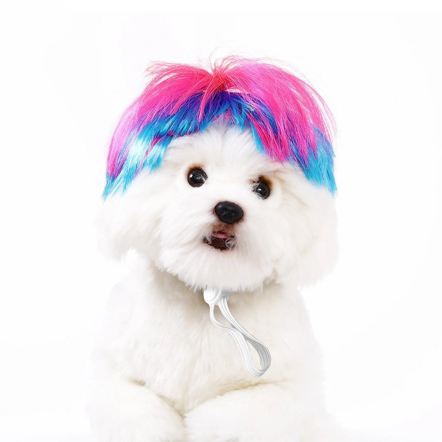 Perruque de cosplay amusante pour animal de compagnie, perruque courte pour chien, décorations pour animaux de compagnie, chapeau en poils de chat, fournitures d'Halloween et de Noël