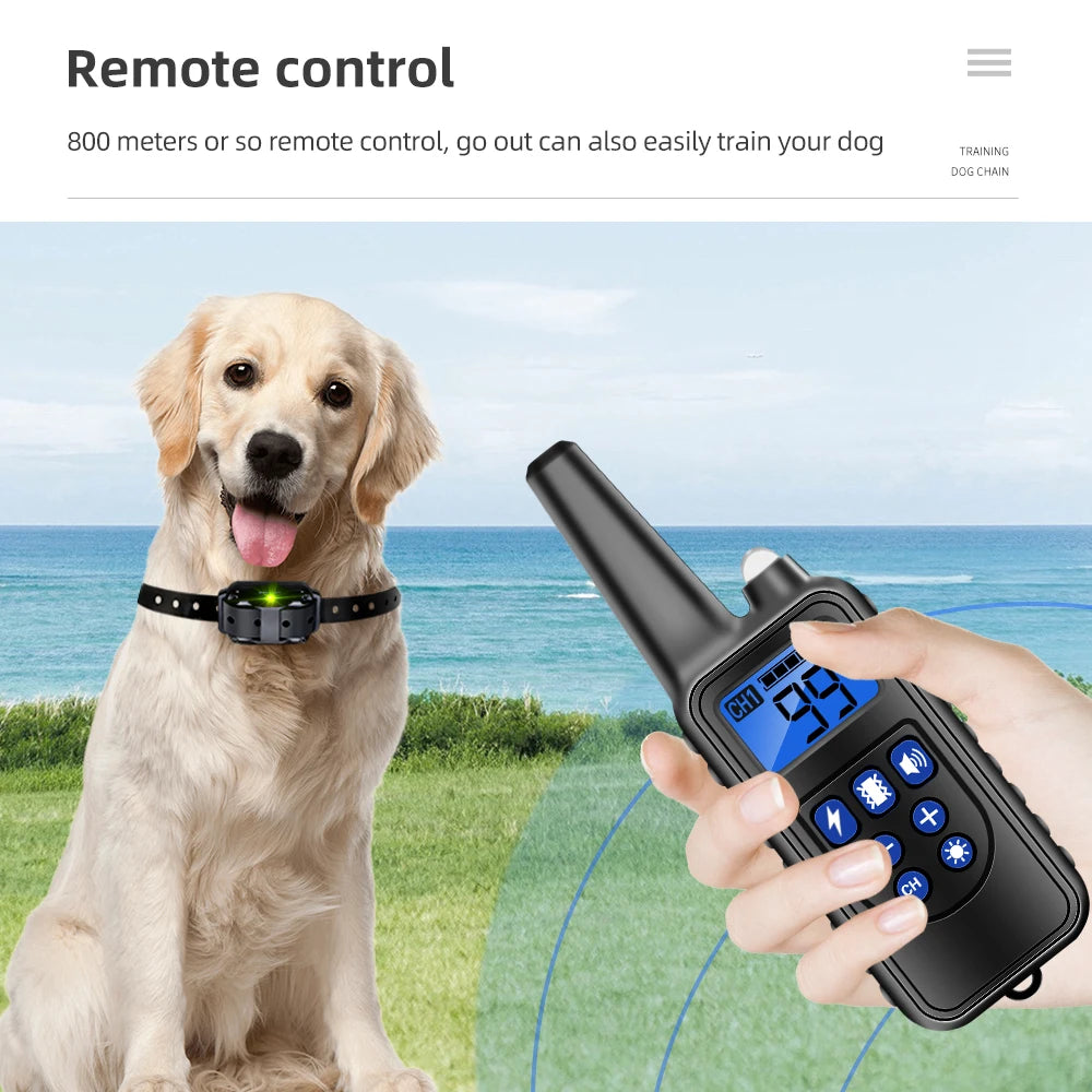 Collier de dressage électrique pour chien, rechargeable, anti-aboiements, anti-choc, anti-vibrations, étanche, avec clicker