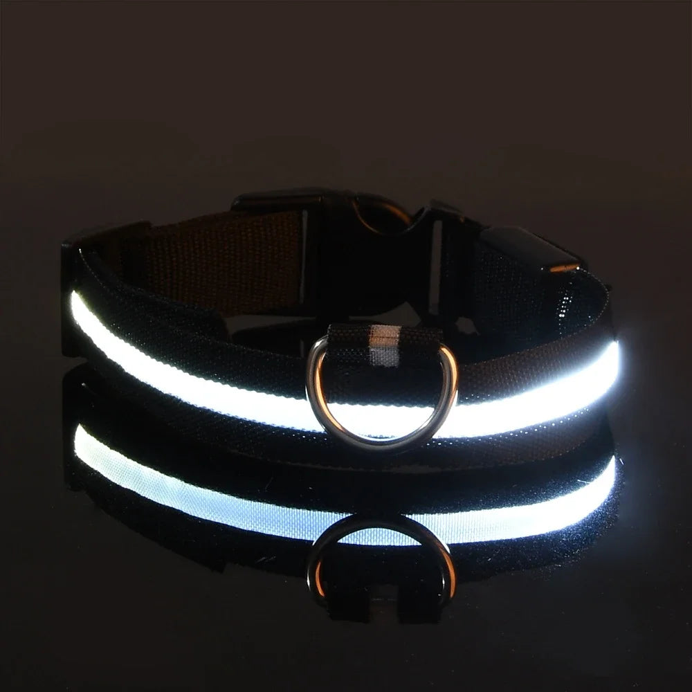Collier pour chien en nylon avec LED clignotante et phosphorescente pour la sécurité nocturne