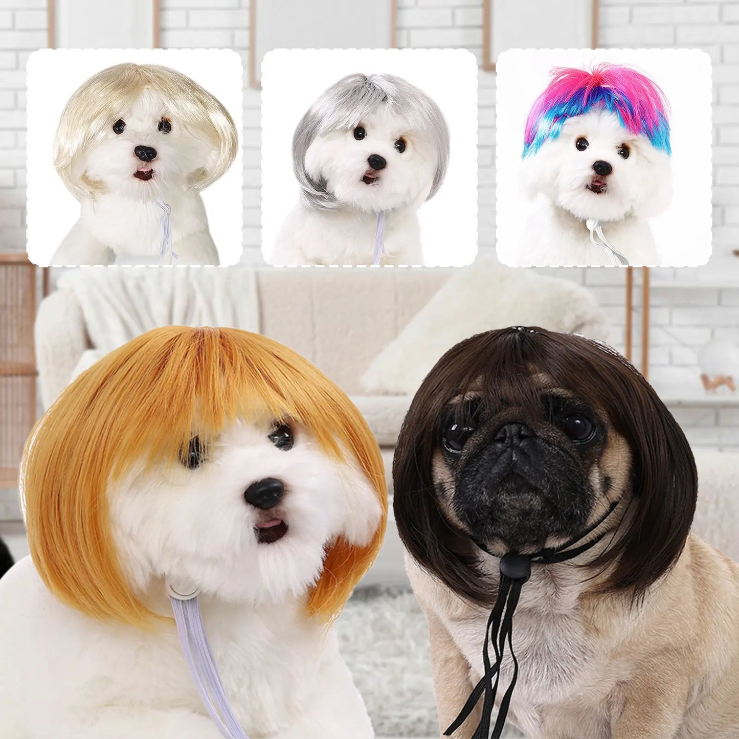 Perruque de cosplay amusante pour animal de compagnie, perruque courte pour chien, décorations pour animaux de compagnie, chapeau en poils de chat, fournitures d'Halloween et de Noël