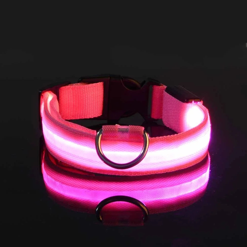 Collier pour chien en nylon avec LED clignotante et phosphorescente pour la sécurité nocturne