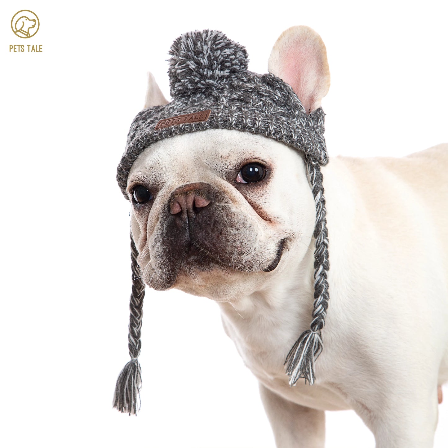 Bonnets d'hiver doux pour chien