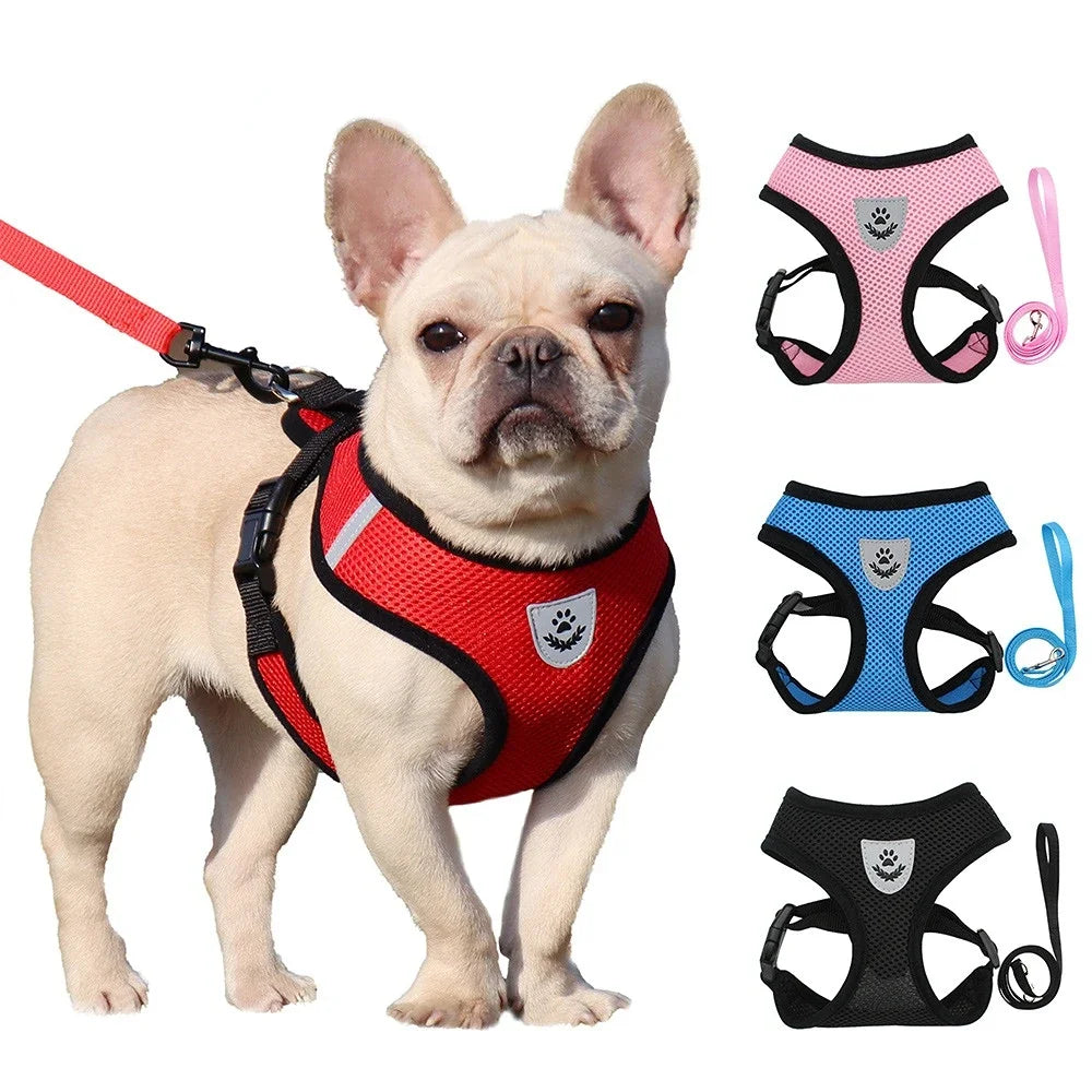 Summer breathable dog walking, chest and back pet, chest and back small dog set, cat outdoor leash, pet supplies