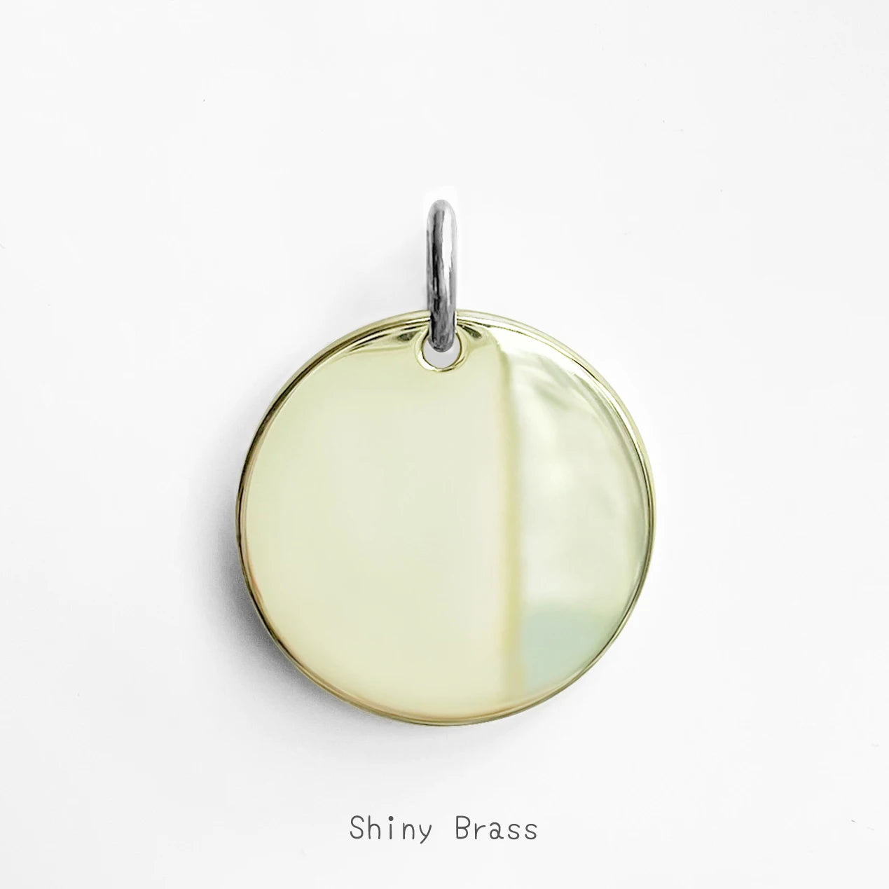 Médaillons d'identification personnalisée pour chien et chat, accessoire pour collier, MW001, chaîne gravée personnalisée, breloque, fournitures pour médaillon de chien, produits avec nom