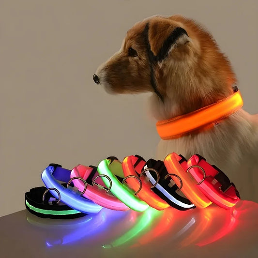 Collier pour chien en nylon avec LED clignotante et phosphorescente pour la sécurité nocturne