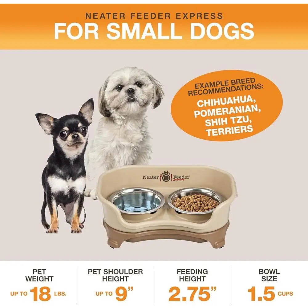 Gamelles surélevées anti-dégâts pour chiens, anti-déversement, anti-basculement, en acier inoxydable, mangeoire pour petits chiens, lavable au lave-vaisselle, pieds en caoutchouc