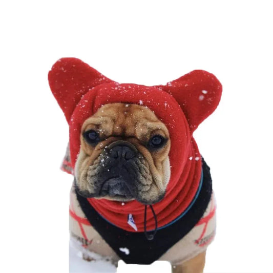 Chapeau de chauve-souris en polaire pour chien