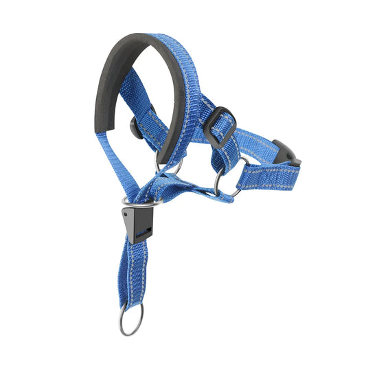 Muselières pour chien, collier anti-aboiement, outil de dressage respirant, muselières en nylon avec bandes réfléchissantes, laisses d'été pour animaux de compagnie