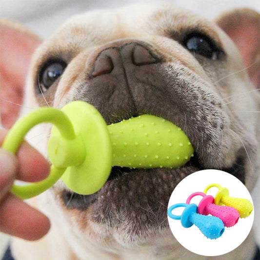 Jouet à mâcher en caoutchouc souple pour animaux de compagnie, résistant aux morsures, en forme d'os, pour broyer les dents, pour petits chiens, fournitures de dressage pour animaux de compagnie