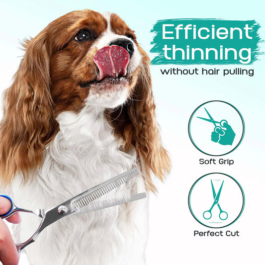 Ensemble de ciseaux de toilettage professionnels 5 en 1 pour chiens et chats, en acier inoxydable, avec pointe ronde de sécurité
