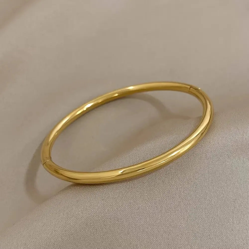 Bracelet en acier inoxydable et titane, plaqué or et zircons incrustés