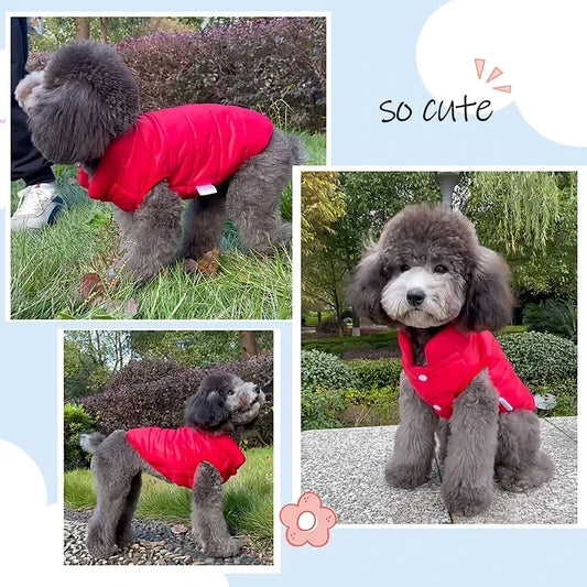 Manteau double face pour chien, vêtement d'hiver chaud pour petits et moyens chiens, gilet pour chihuahua, vêtements doux pour chiots